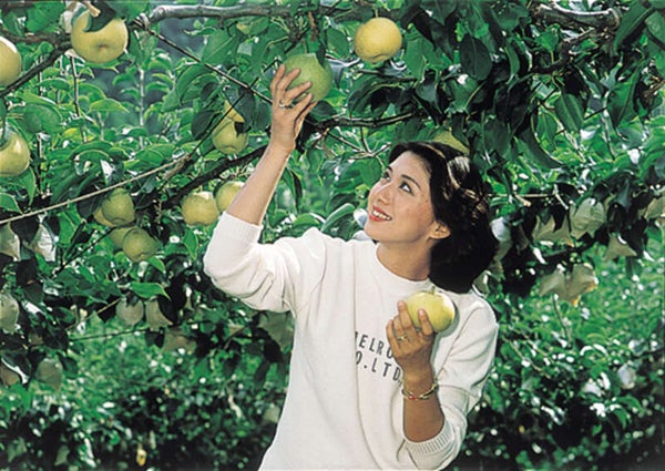 【福井県内発】 鳥取砂丘 と とっとり梨園食べ放題 日帰り2